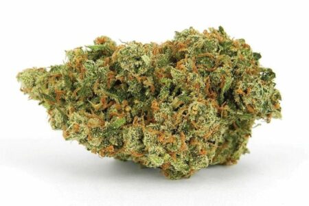 Buy Jack Herer Strain Online US