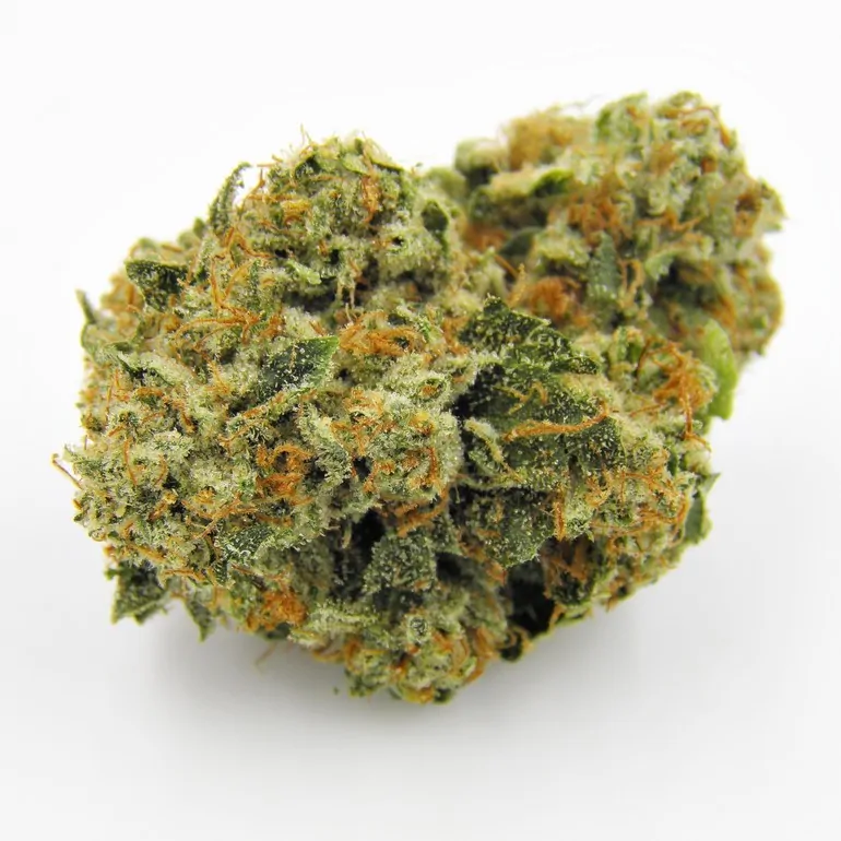 Buy Kosher Kush Strain Online US